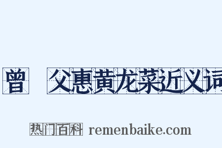 曾谹父惠黄龙菜近义词是什么意思的图片